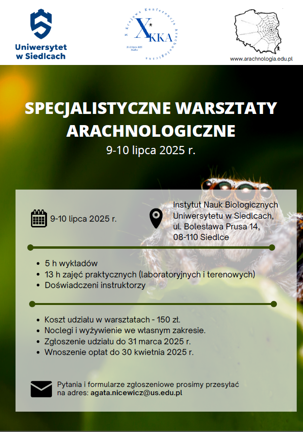Zrzut ekranu 2025-03-05 222103